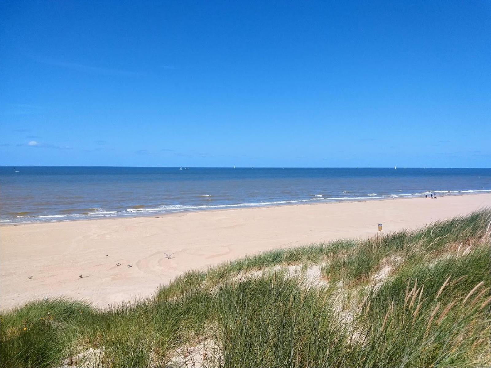 Strandchalet Bredene Dış mekan fotoğraf